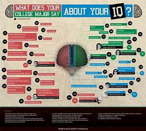 Iq By College Major Infographics Mania