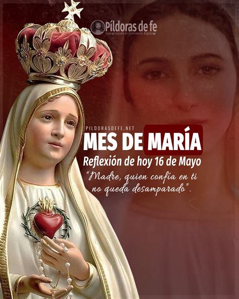 Oración Del Día 16 De Mayo Mes De María Muchos Afirman Que En Los