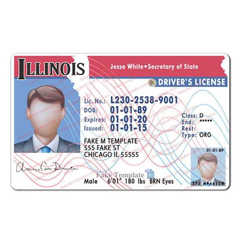 Free Editable Blank Illinois Drivers License Template