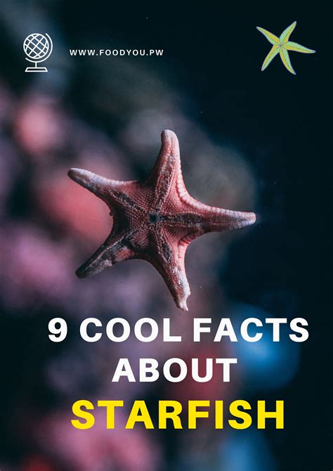 9 Cool Facts About Starfish Starfish Facts Starfish Facts For Kids