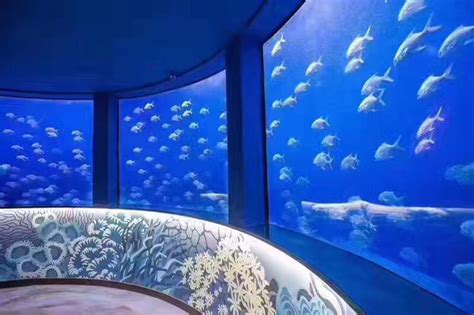 Sea Life Aquarium Chongqingshen Milsom And Wilke