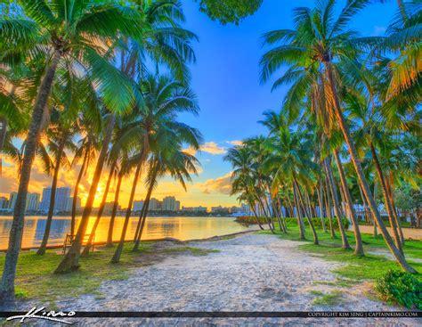 Palm Beach Island Coconut Trees Sunset Waterway Square Hdr