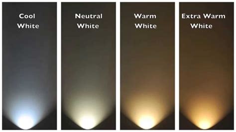 Ask a question forum→cfl vs led for grow light. LED vs CFL Bulbs - YouTube