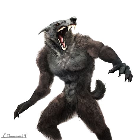 Werewolf Png Transparent Image Download Size 800x800px