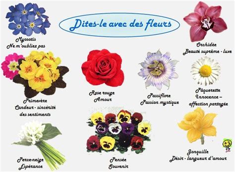Les différentes types de fleurs et leur nom l atelier des fleurs