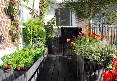 Un Jardin Sur Votre Balcon