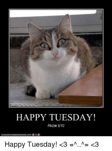 It can be a day where we focus on will ferrell, the funny book funny quotes. #tuesday #greetings #bluemonday #weekdays #memes #humor #quotes #crumpy #dude #fun | Funny cat ...