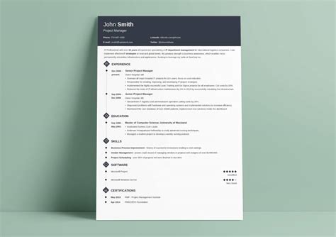 Traditional Resume Template Classic Resume Examples
