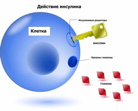 Снижение сахара крови диетами