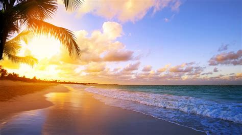 Tropical Beach Sunrise Wallpaper Backiee