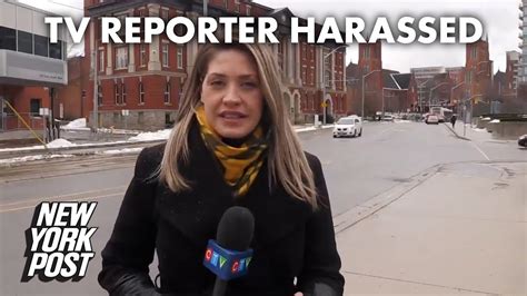 Canadian TV Reporter Harassed While Filming Segment New York Post