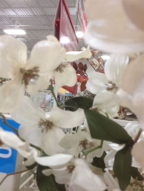 Maybe you would like to learn more about one of these? Pin by Kathyrn Neubauer-Johns on Michaels silk flowers ...