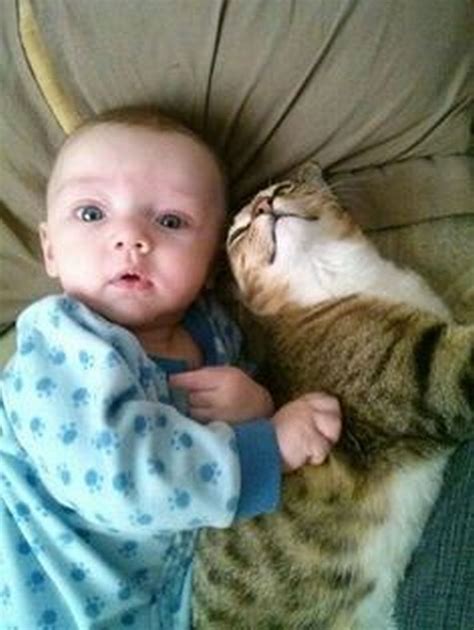 21 Cute Cats Babysitting Adorable Babies Can You Feel The Love