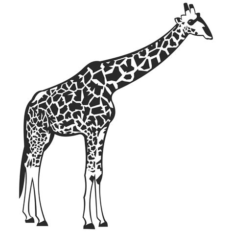 Vector For Free Use Giraffe Vector