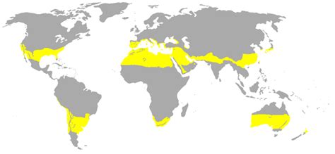 List Of Locations With A Subtropical Climate Wikiwand