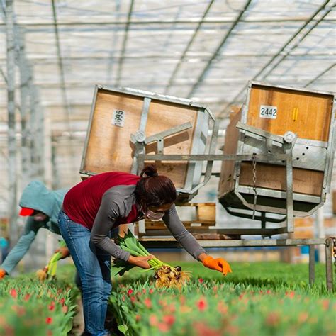 Maybe you would like to learn more about one of these? Bloomia Flowers Fredericksburg Va - Evan Kerkhoven Joins ...