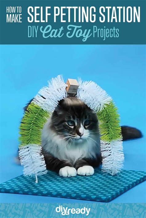 Adorable Diy Projects You And Your Pet Will Be Fascinated About Cat