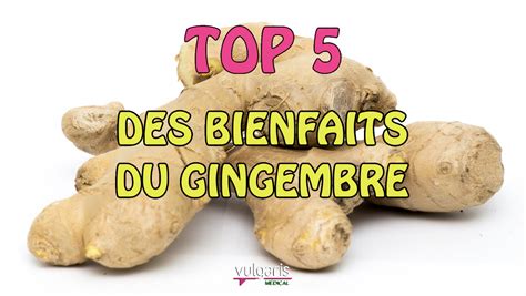 Top Des Bienfaits Du Gingembre Vulgaris M Dical