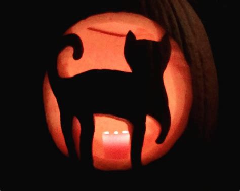 7 Cat Inspired Pumpkin Carving Ideas Cat Fancast