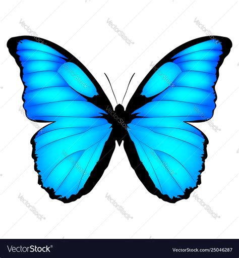 Blue Butterfly Artwork