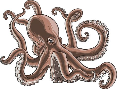 Octopus Clipart Realistic Pictures On Cliparts Pub 2020 🔝
