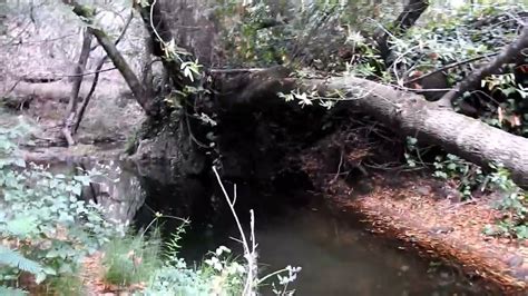 Exploring Napa Creek YouTube
