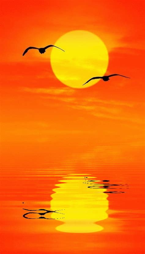 See more about aesthetic, yellow and soft. one-and-only-one | Orange aesthetic, Beautiful sunset