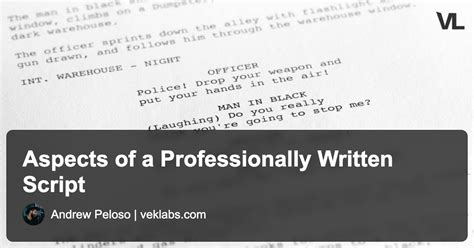 Aspects Of A Professionally Written Script Vek Labs