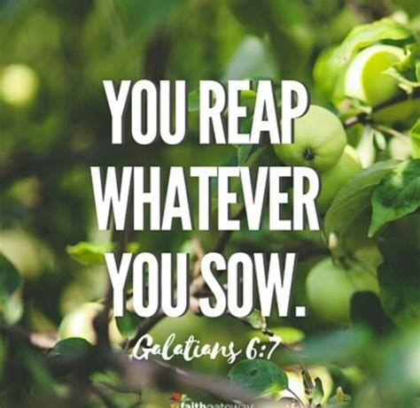 Reap And Sow Reap What You Sow Bible Scriptures Bible Quotes Gospel