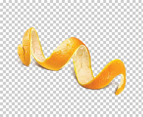 Watercolor Orange Peel Clipart 10 Free Cliparts Download Images On