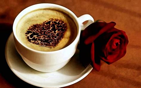 720p free download romantic morning coffee romantic rose love heart flower cup morning