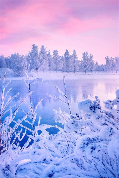Perfect Winter Moment By Thunderi On Deviantart