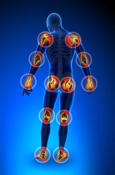 Joint Pain Facts Types And Prevention ~ Way To Be Healthy
