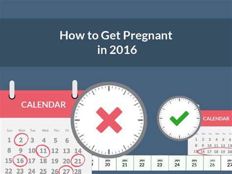 How To Get Pregnant In 2020 Updated