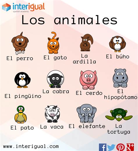 Animals In Spanish Worksheet