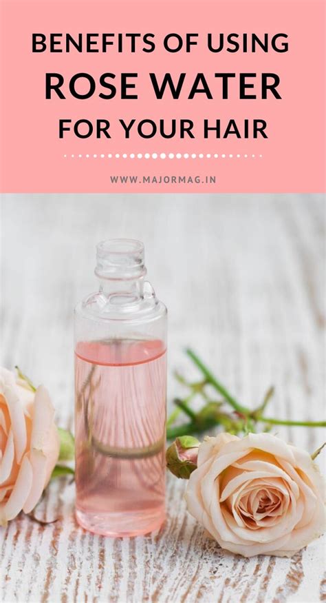 Rose Water Benefits For Hair And How To Use It Major Mag Rose Water
