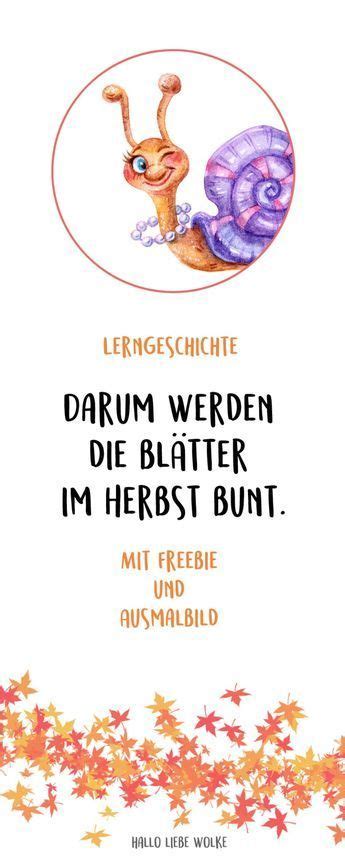 Frühblüher sind, wie der name vermuten lässt, die blumen, deren grün als erstes teilweise noch durch die schneedecke spitzen lassen. Schneckelinchen erklärt: Darum werden die Blätter im ...