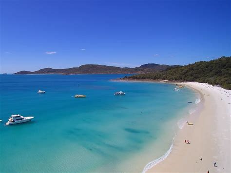 Whitehaven Xpress Best Whitehaven Beach Tour From Airlie Beach