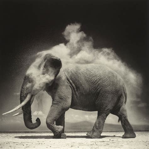 On This Earth A Shadow Falls Across The Ravaged Land By Nick Brandt