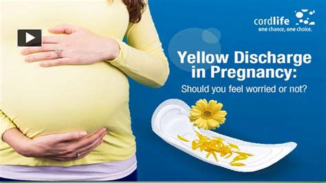 Ppt Yellow Discharge During Pregnancy Warning Signs And Treatment