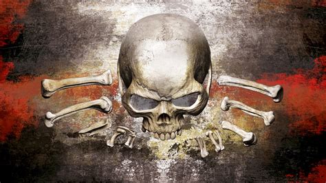 Skull Full Hd Wallpaper And Background Image 1920x1080 Id323506