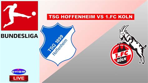 Fc koln had a more difficult task at home than anticipated at first. TSG HOFFENHEIM VS 1.FC KOLN LIVE BUNDESLIGA GERMANY 27/05 ...