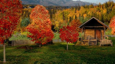 Cabin In Fall Осенний пейзаж Дом Картинки