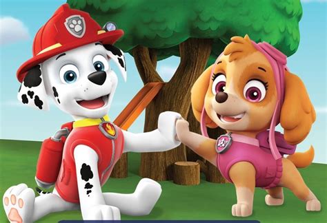 Everestgallery Paw Patrol Coloring Paw Patrol Coloring Pages Paw