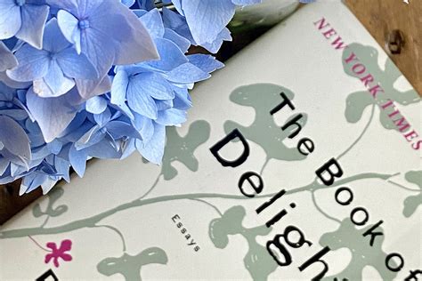 The Book Of Delights By Ross Gay Bookclique