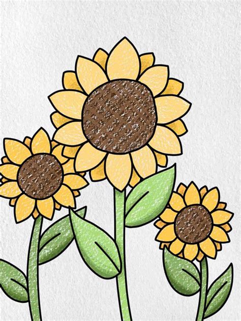 How To Draw Sunflowers Helloartsy