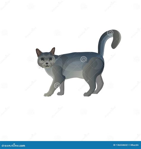 Grey Cat With Tail Up Stock Vector Illustration Of Posture 136334632
