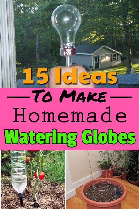 Self Watering Planters Globes Garden Plant