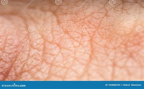Texture Relief Of Healthy Human Skin Macro Photography Visible