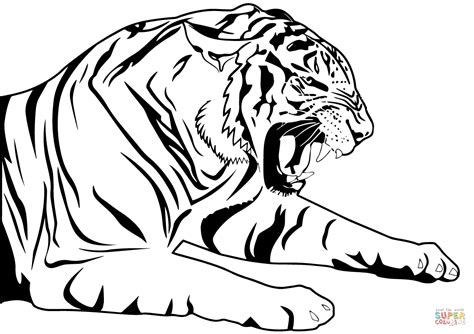 Tiger Coloring Page Free Printable Coloring Pages